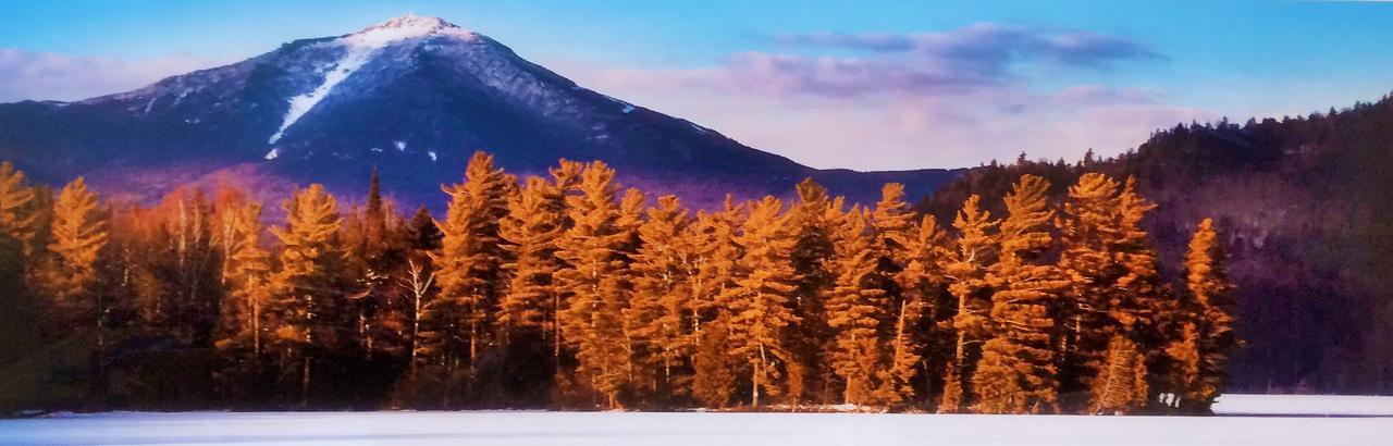 Adirondack Spruce Lodge Уилмингтън Екстериор снимка